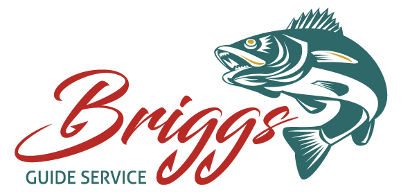 Briggs Guide Service